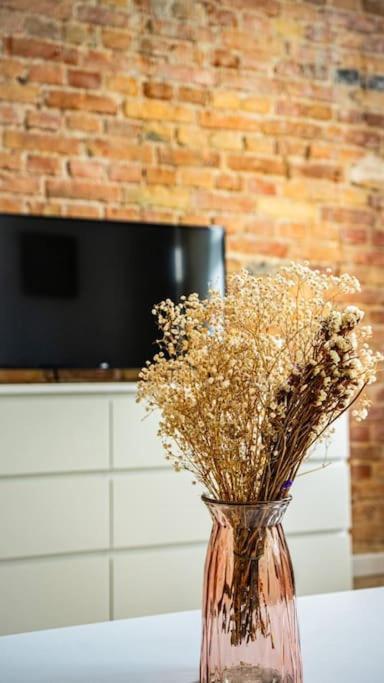 Stylish In Apartment *